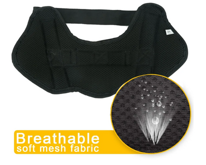 PawSecure No-Pull Harness (Customizable)