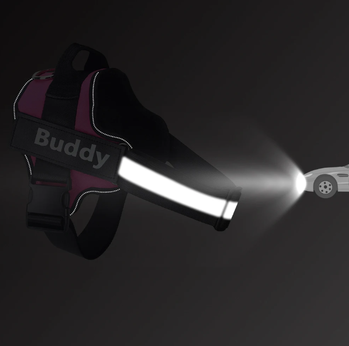 PawSecure No-Pull Harness (Customizable)