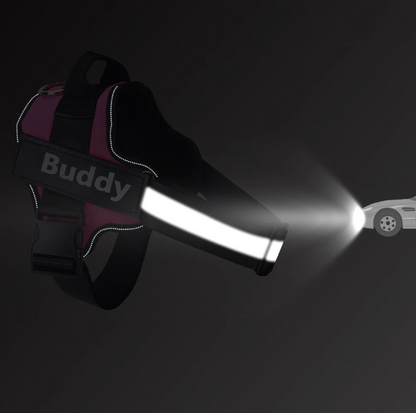 PawSecure No-Pull Harness (Customizable)