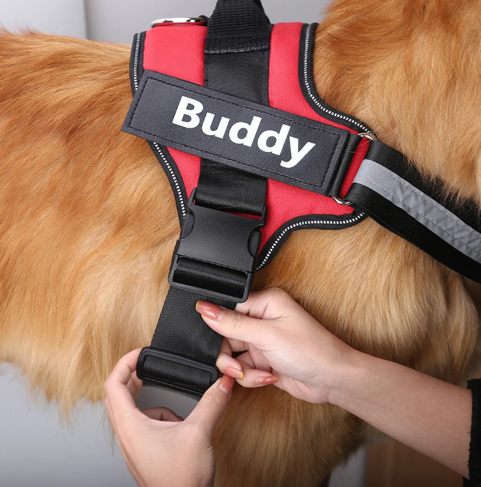 PawSecure No-Pull Harness (Customizable)