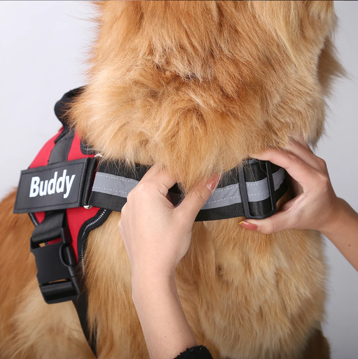 PawSecure No-Pull Harness (Customizable)