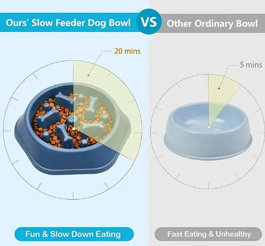 Slow Feeder Bone Bowl