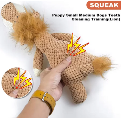 Pet Molar Toys