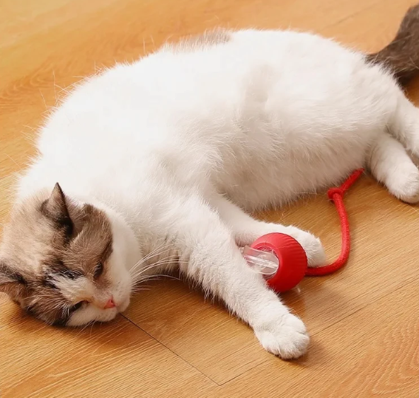 Smart Rolling Pet Ball