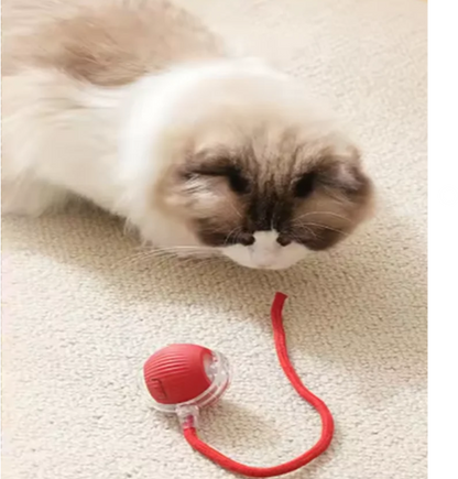 Smart Rolling Pet Ball
