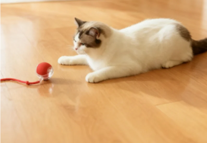 Smart Rolling Pet Ball