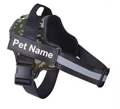 PawSecure No-Pull Harness (Customizable)