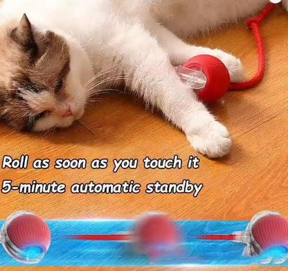 Smart Rolling Pet Ball